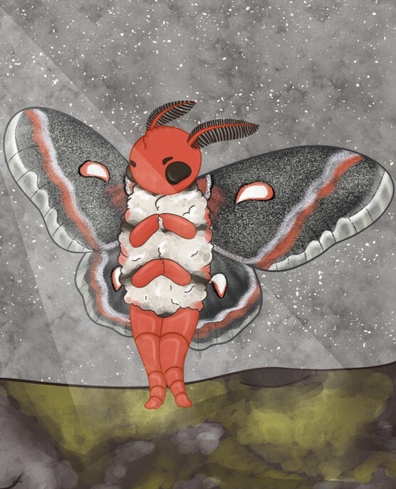 Moth